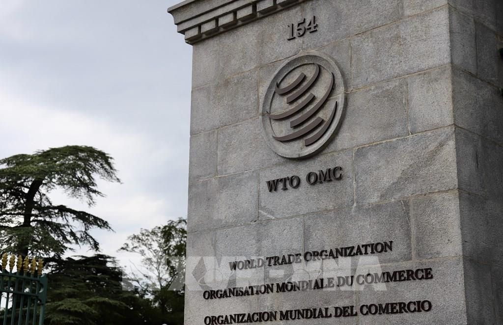 Việt Nam tham gia phiên rà soát chính sách thương mại của Anh tại WTO